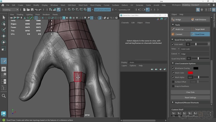 Maya Retopology tools