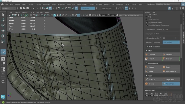 Retopologizing the Skirt