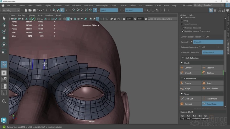 Retopologizing the Head