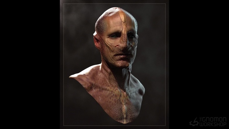 Refined Photo Studio