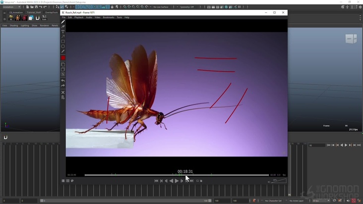 Run Cycle: Planning & Reference Collecting