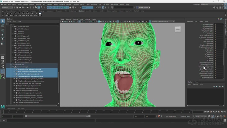 Face Model & FACS Shapes