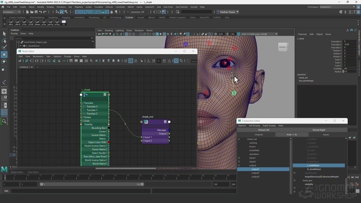 Rigging: Jaw, Nose & Cheeks