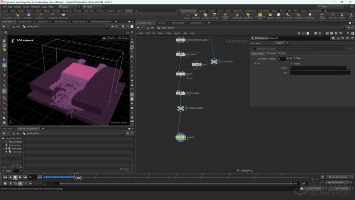 Inspecting POPs, DOPs & Grain Solvers