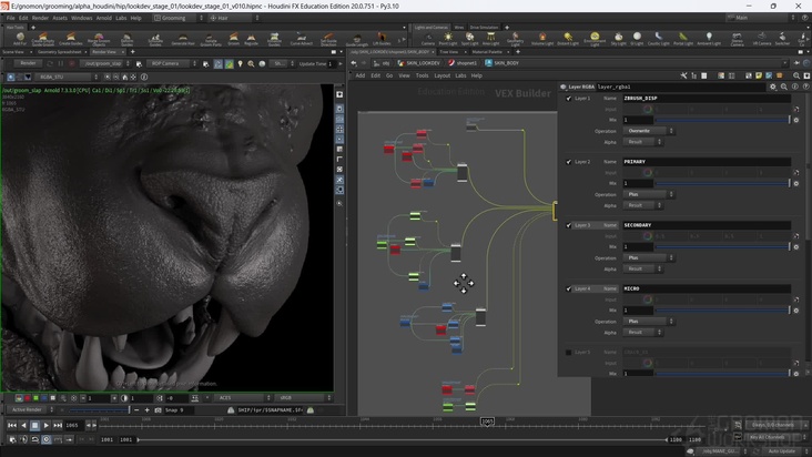 Houdini Look Dev Skin: Part 1