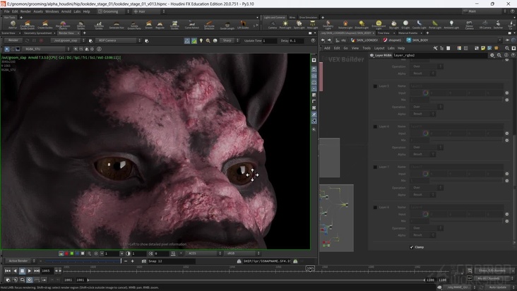 Houdini Look Dev Skin: Part 2