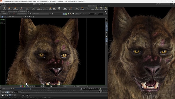 Houdini Fur: Part 3 – Probability Polish