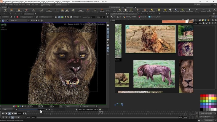 Houdini Fur: Part 5 – Probability Face Final