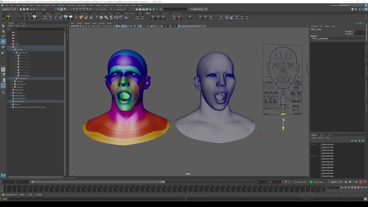 Shape Transfer Workflows in Maya