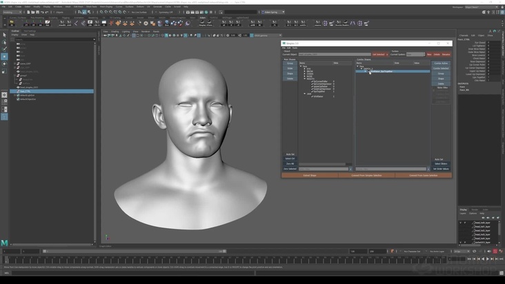 Setting Up The Shape Network In Maya