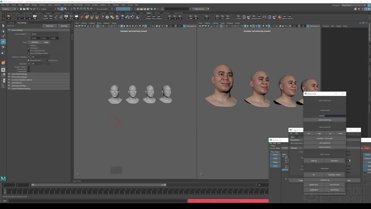 Breaking Down the Smile Network: Part 1