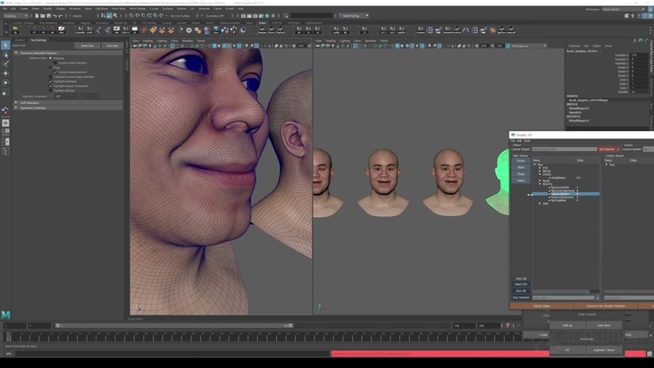 Breaking Down the Smile Network: Part 2