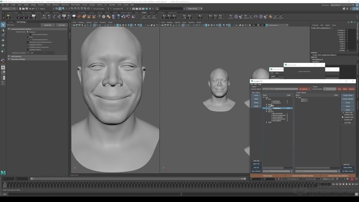 Breaking Down the Smile Network: Part 3
