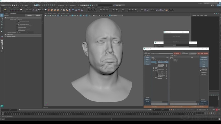 Breaking Down the Sad Face Network