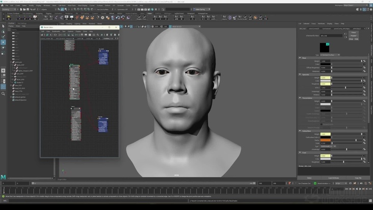 Setting Up the Render Scene