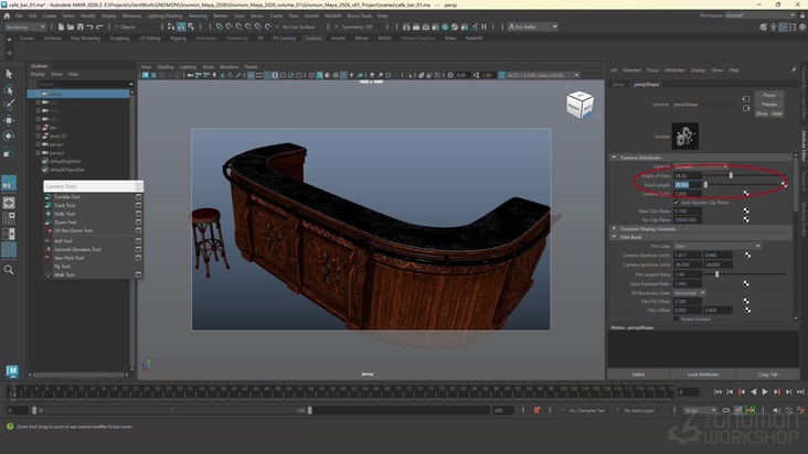 Viewport Camera Settings