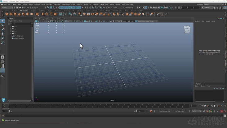Custom Shelf Buttons & MEL Scripts