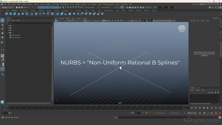 NURBS Surfaces