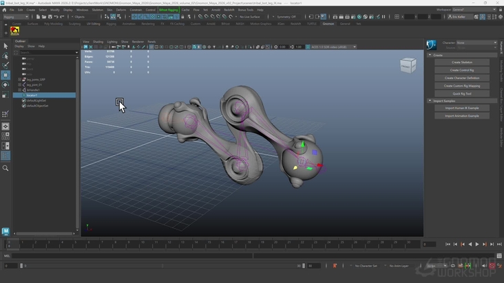 Joints & Skin Weights