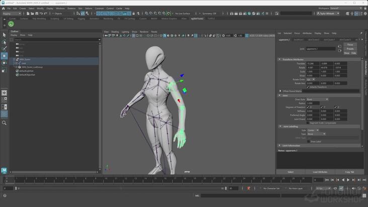 Asset Requirements & Runtime Preparation