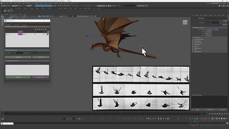 Animating a Flight Cycle