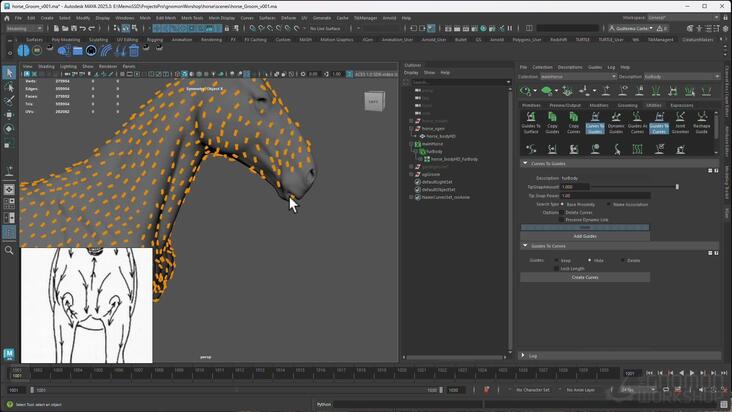 Getting Started with XGen