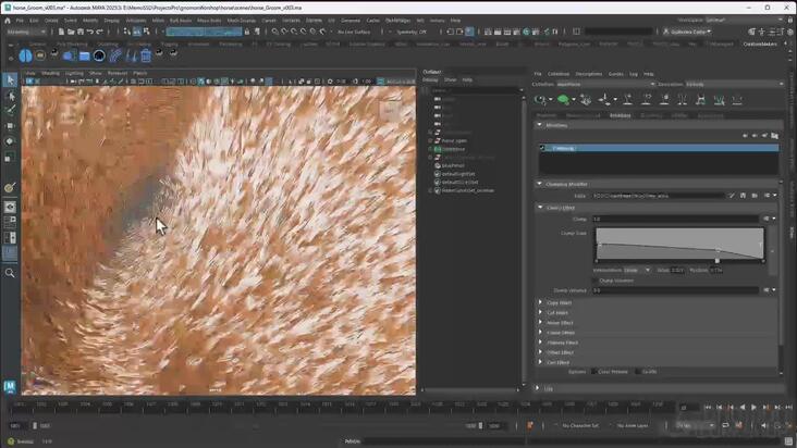 XGen Modifiers