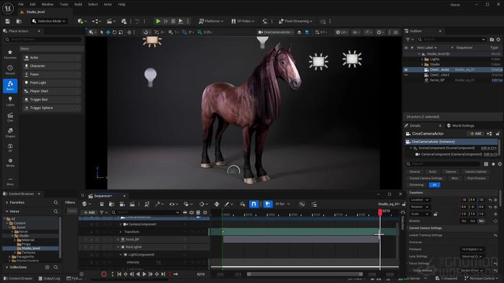 Presentation, Lighting & Rendering