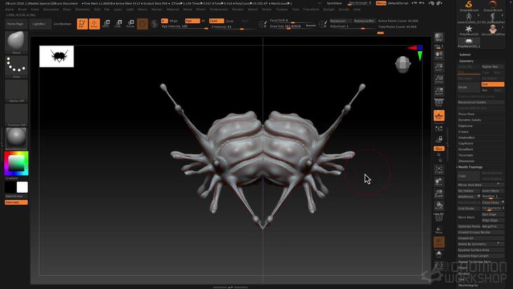 Symmetry Tools