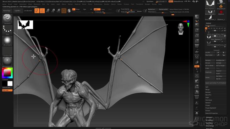 Fins, Wings & Membranes