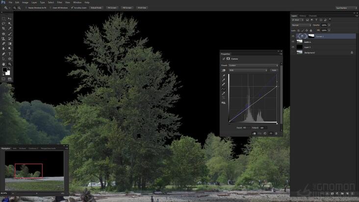 Extracting Techniques